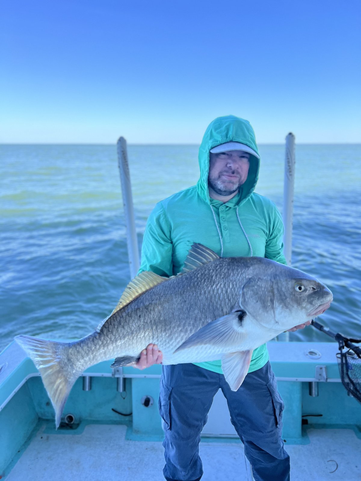 An angler holding a black drum caught in Tampa Bay
