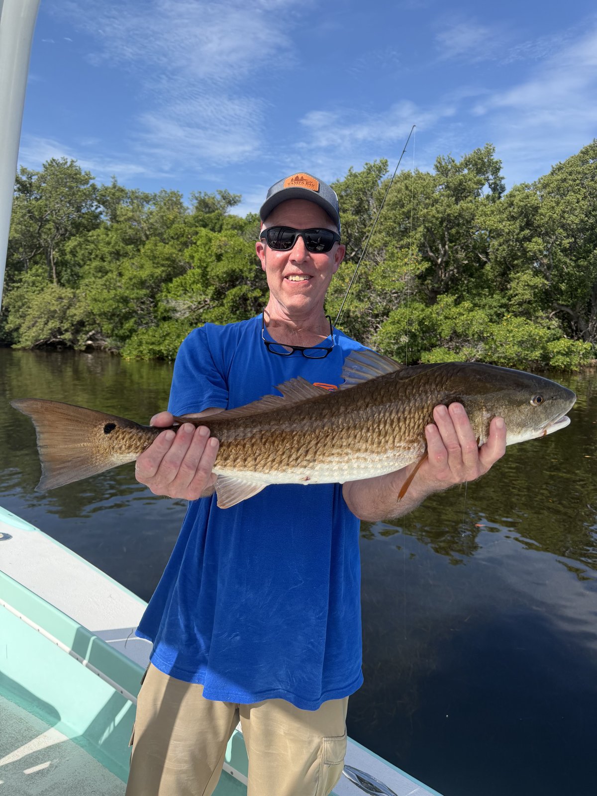 An angler holding a redfish along the mangrove shoreline