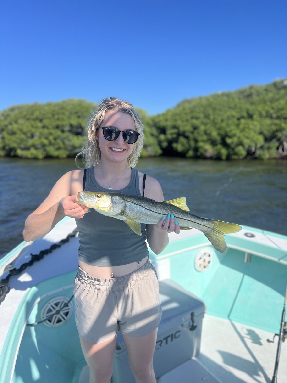 A guest holding a snook along the mangroves