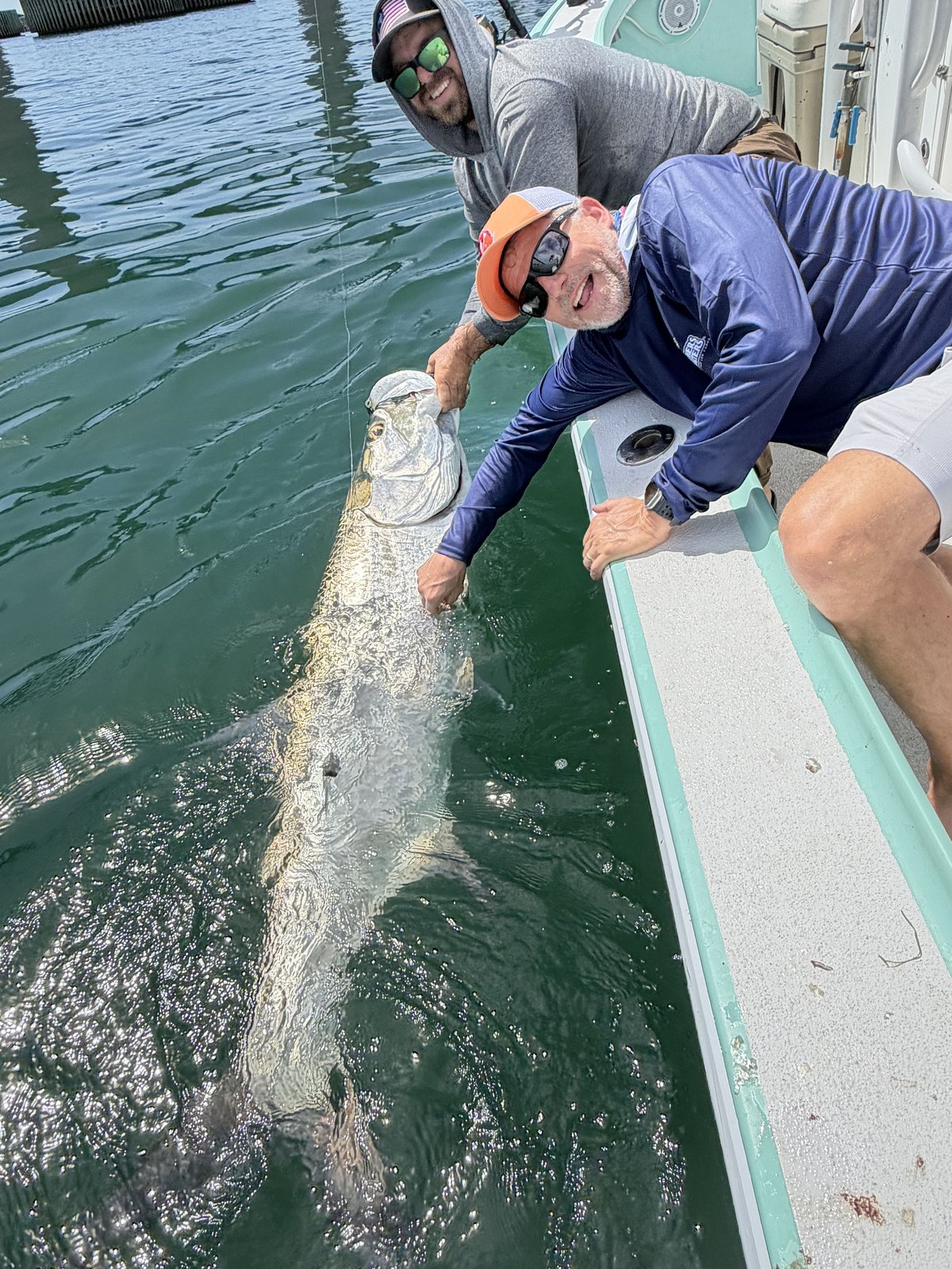 Captain Bryan leadering a tarpon alongside the boat