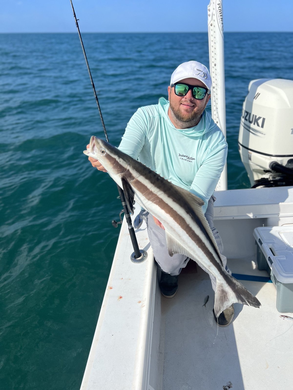 An angler holding a cobia at the rail on a nearshore Gulf trip