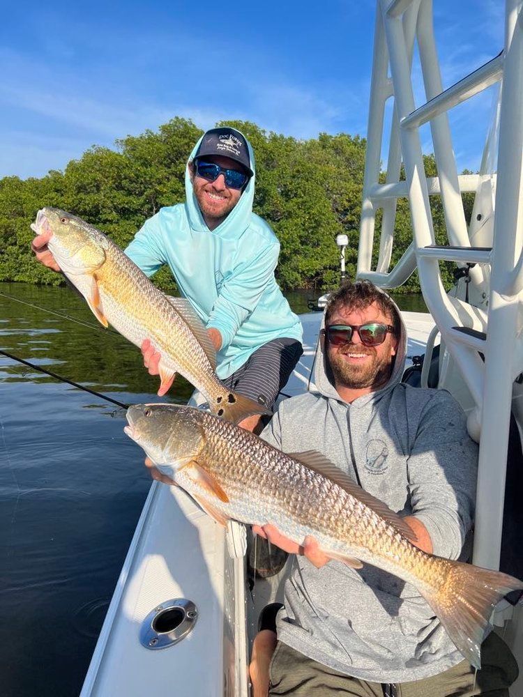 Two anglers holding redfish caught along a Tampa Bay mangrove edge