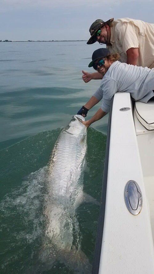Anglers reaching for a tarpon in the splash beside the boat